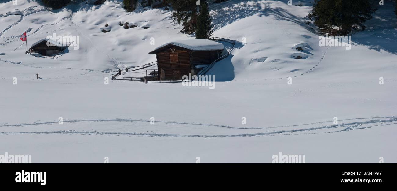 Dischmatal, Davos, Graubunden, Zwitserland, Svizzera, René van der Meer Foto Stock