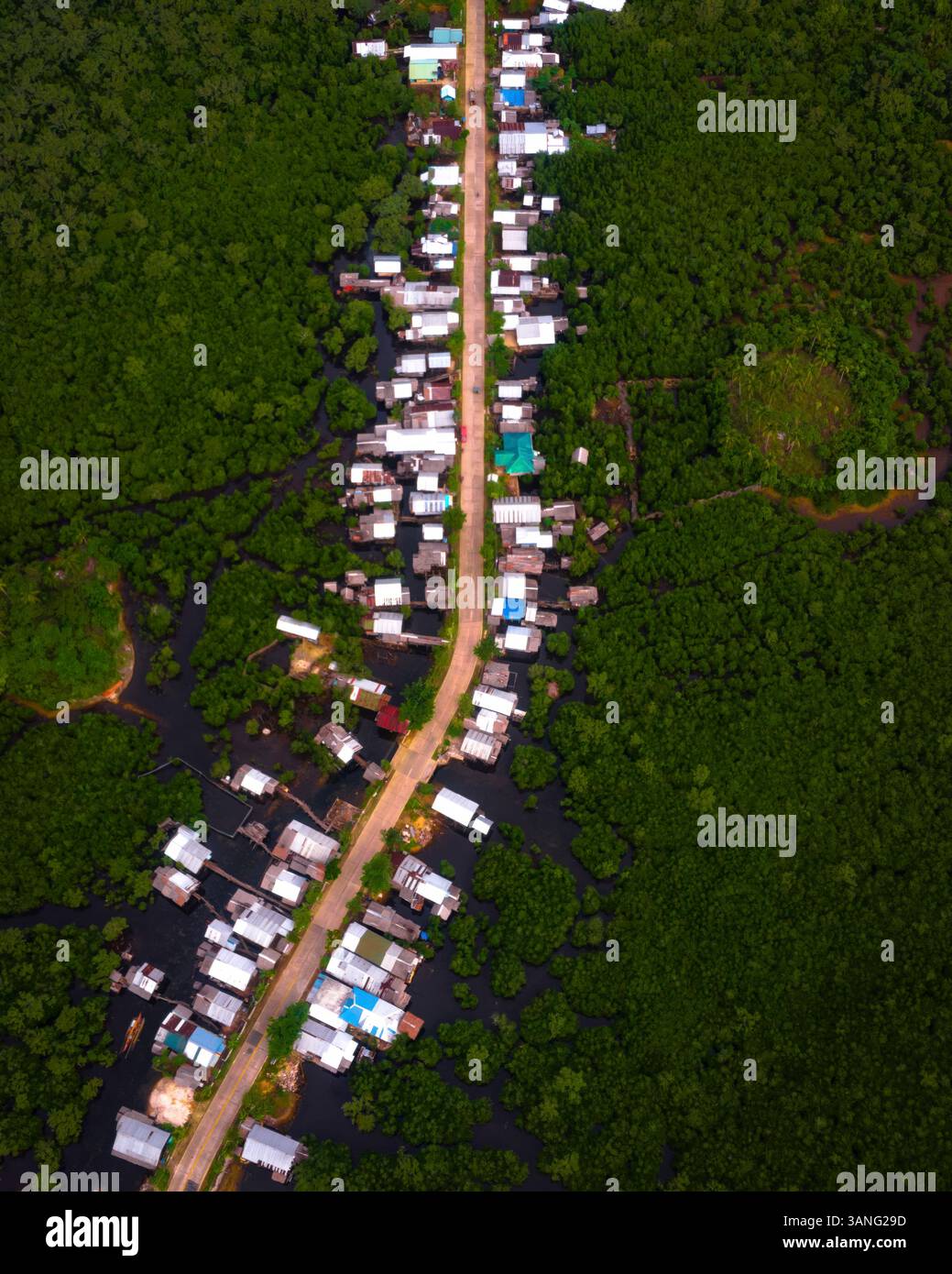Vista aerea di un vivace villaggio con case e una strada circondata da lussureggianti mangrovie e foreste tropicali, Maasin, Filippine. Foto Stock