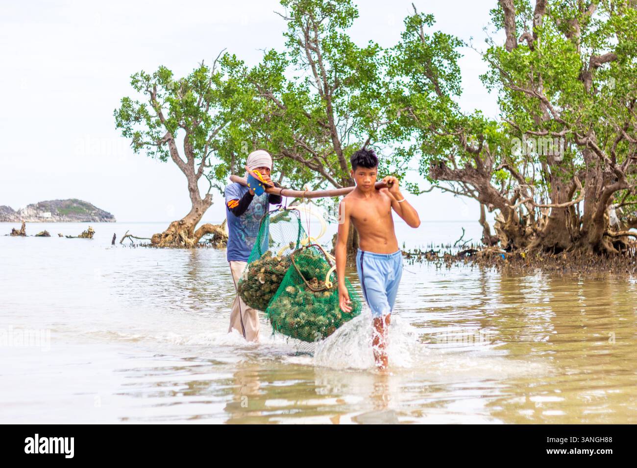 Pescatori filippini che trasportano conchiglie di capesante raccolte da barca a riva nelle isole Gigantes, Iloilo, Filippine Foto Stock