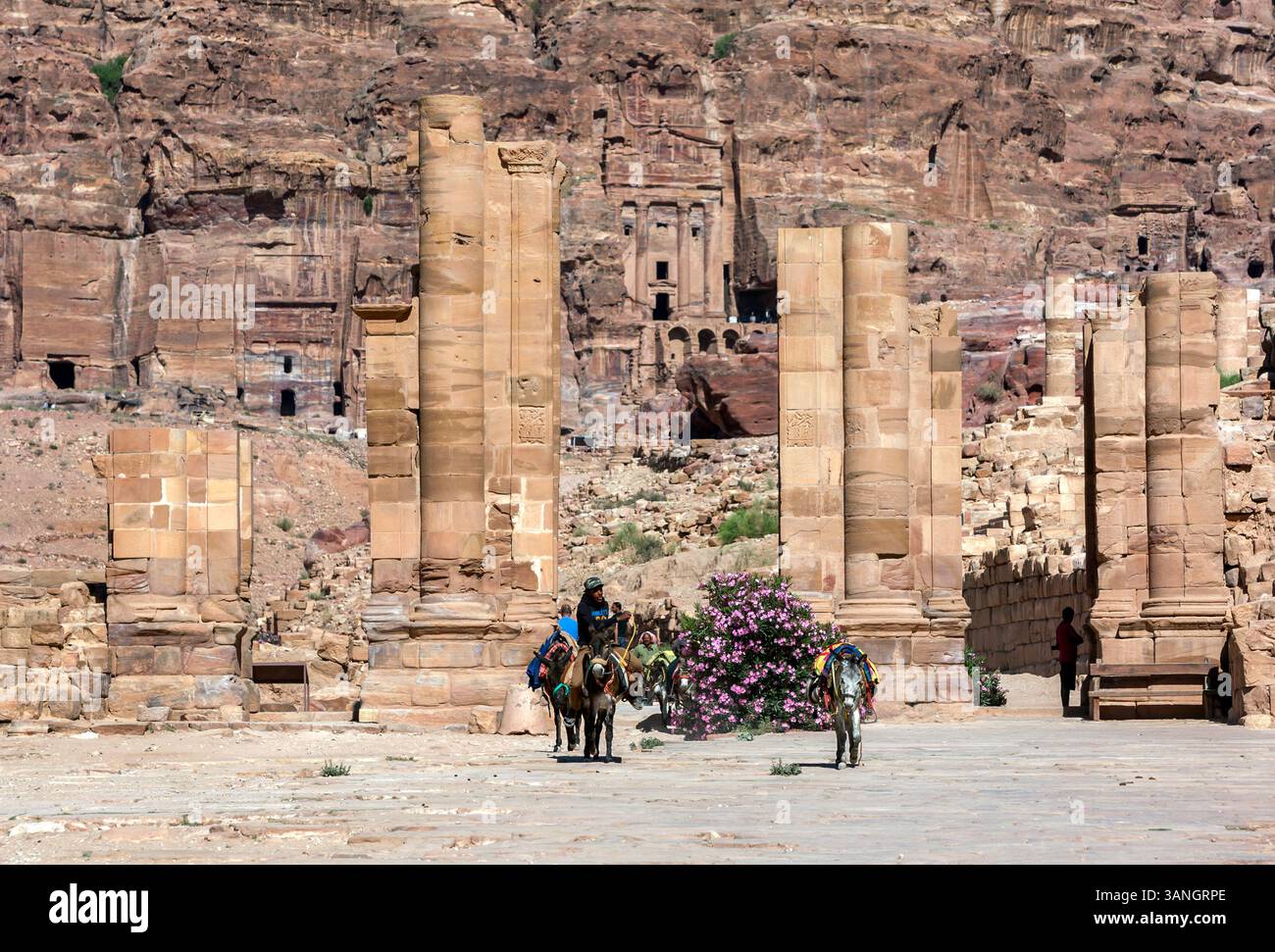 PETRA, GIORDANIA - 10 GIUGNO 2014: Un beduino cavalca il suo asino davanti alle rovine della porta ad arco nell'antico sito di Petra in Giordania. Foto Stock
