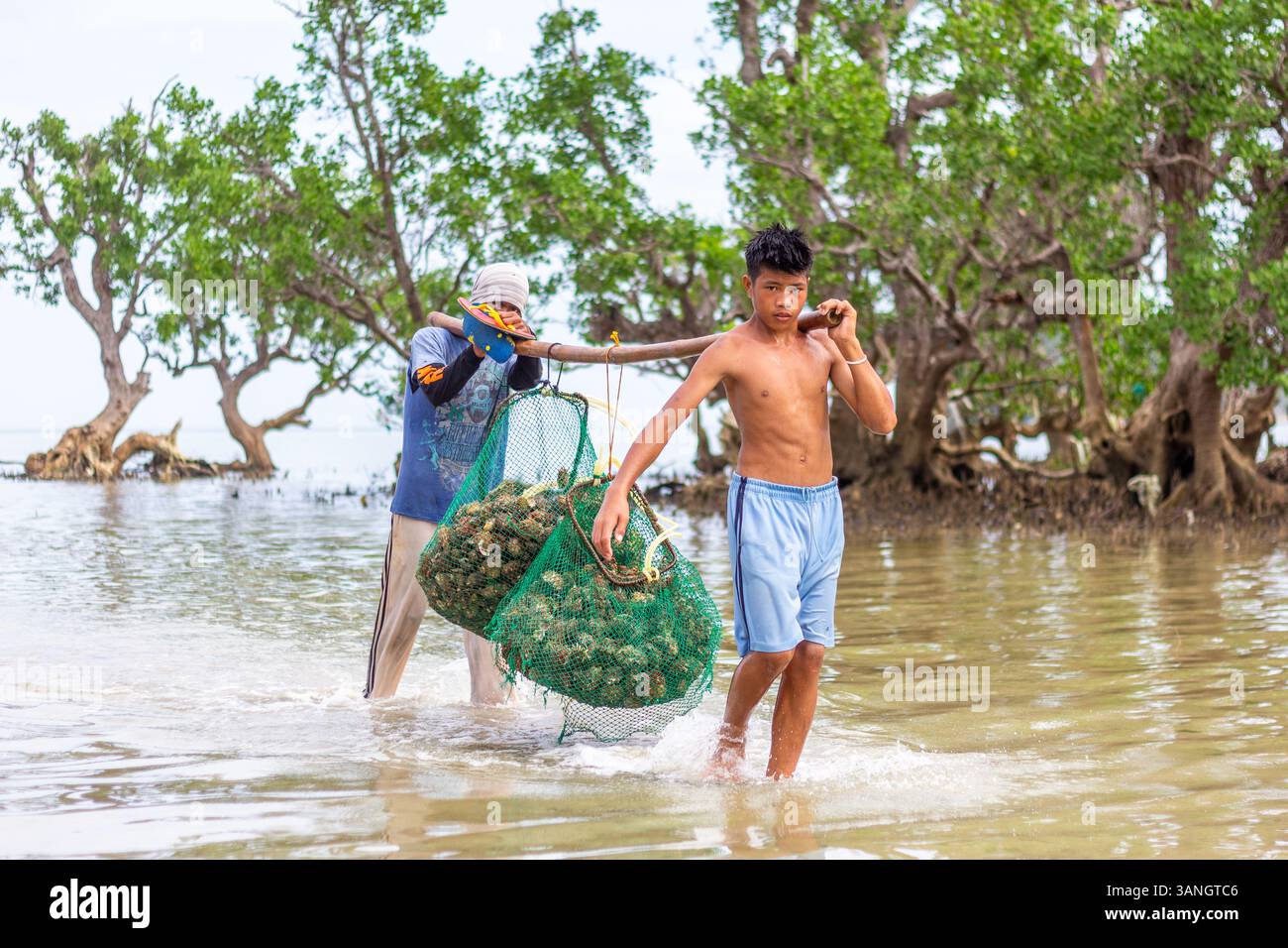 Pescatori filippini che trasportano conchiglie di capesante raccolte da barca a riva nelle isole Gigantes, Iloilo, Filippine Foto Stock