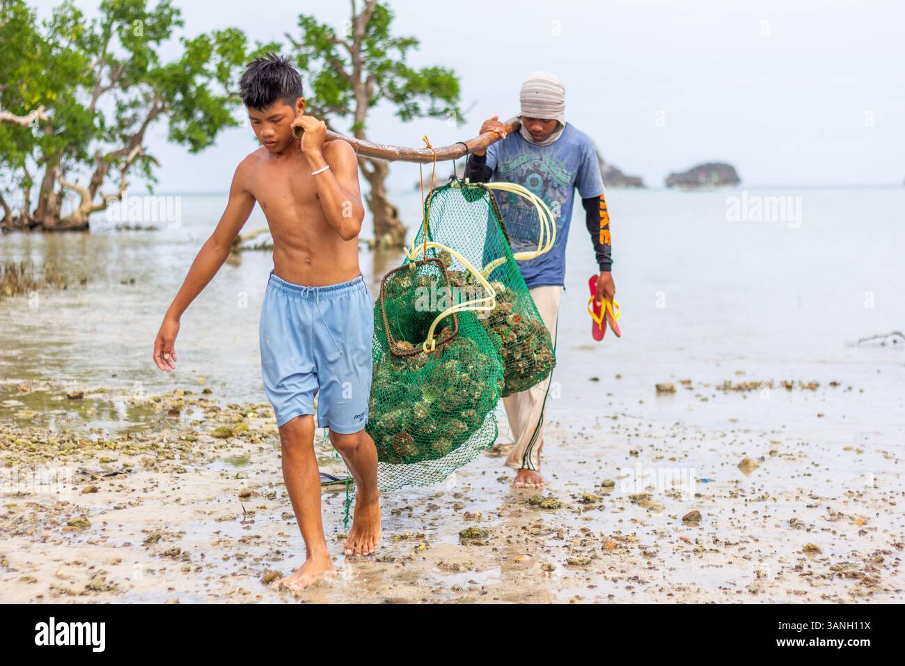 Pescatori filippini che trasportano conchiglie di capesante raccolte da barca a riva nelle isole Gigantes, Iloilo, Filippine Foto Stock