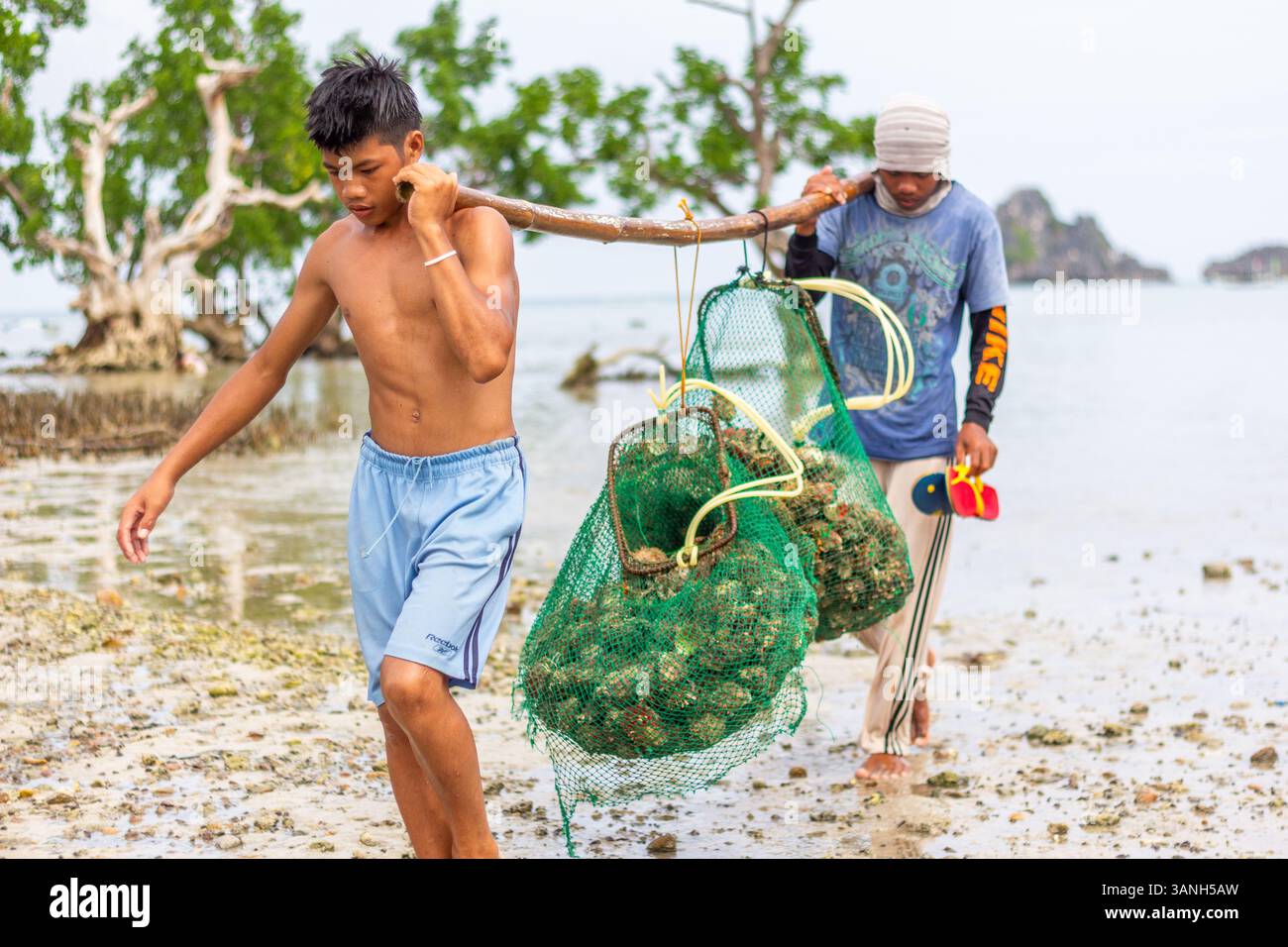 Pescatori filippini che trasportano conchiglie di capesante raccolte da barca a riva nelle isole Gigantes, Iloilo, Filippine Foto Stock