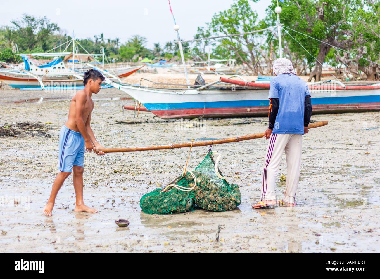 Pescatori filippini che trasportano conchiglie di capesante raccolte da barca a riva nelle isole Gigantes, Iloilo, Filippine Foto Stock