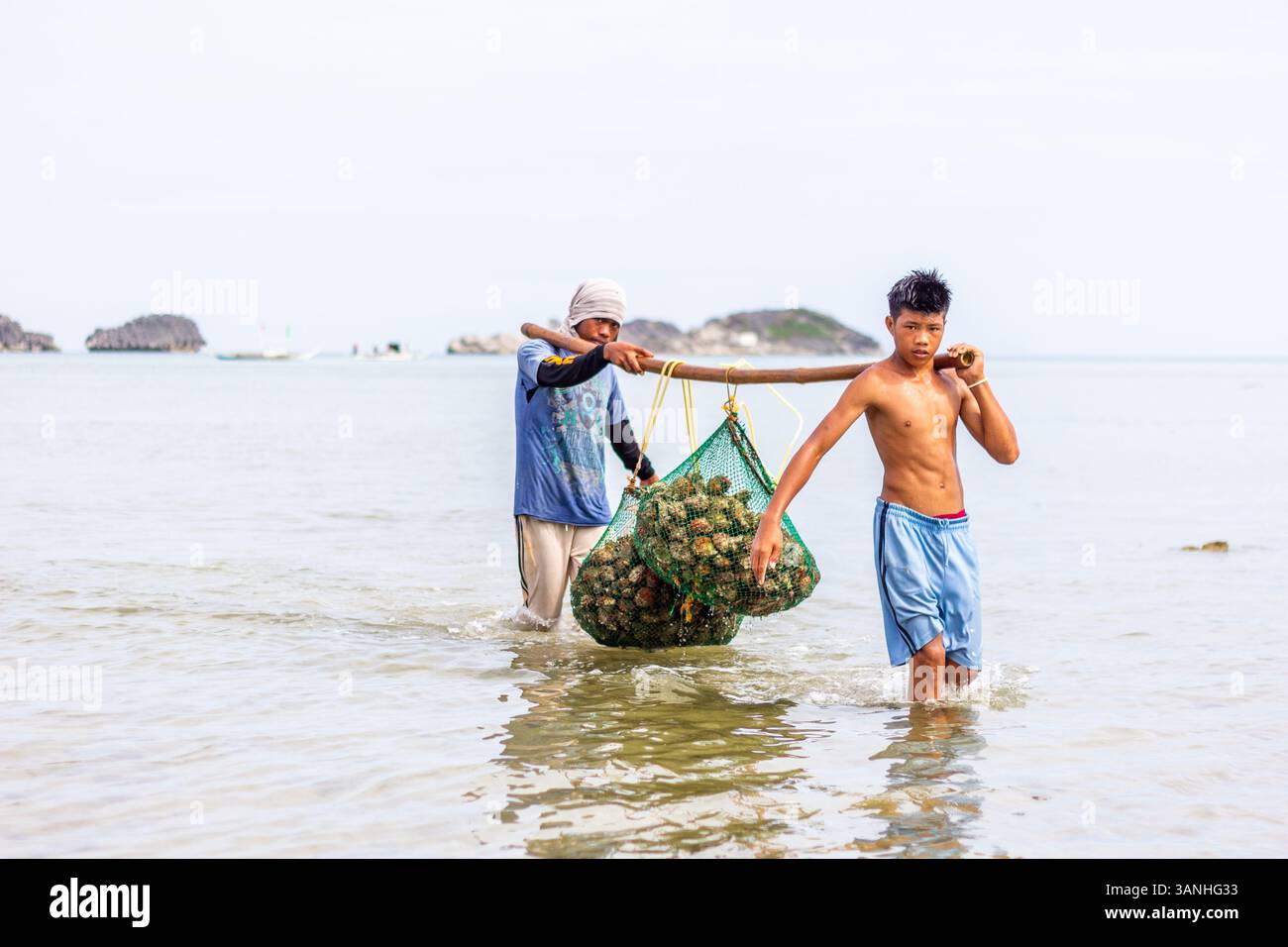 Pescatori filippini che trasportano conchiglie di capesante raccolte da barca a riva nelle isole Gigantes, Iloilo, Filippine Foto Stock