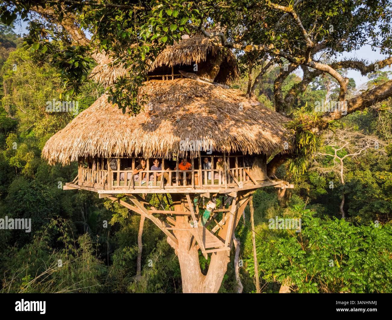 Gibbon Experience Project - 10 marzo 2019: Veduta aerea di una casa sull'albero nella foresta, provincia di Bokeo, Laos. Foto Stock