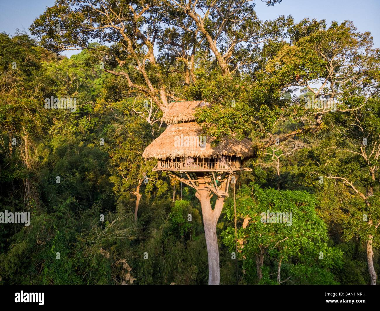 Gibbon Experience Project - 10 marzo 2019: Veduta aerea di una casa sull'albero nella foresta, provincia di Bokeo, Laos. Foto Stock