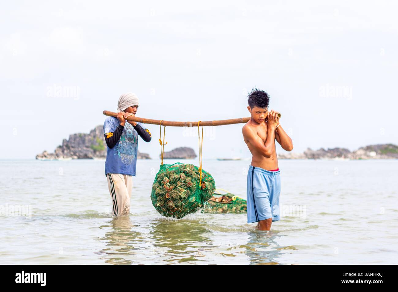 Pescatori filippini che trasportano conchiglie di capesante raccolte da barca a riva nelle isole Gigantes, Iloilo, Filippine Foto Stock