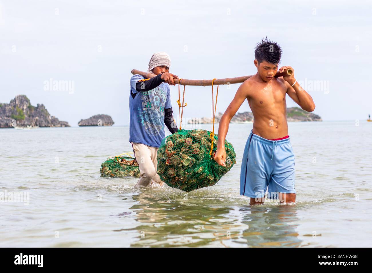 Pescatori filippini che trasportano conchiglie di capesante raccolte da barca a riva nelle isole Gigantes, Iloilo, Filippine Foto Stock