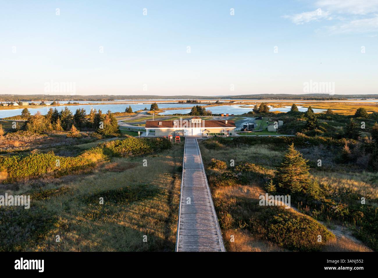 Vista aerea della spiaggia della baia delle mucche con acqua serena, alberi e un pittoresco tramonto, Cow Bay, Canada. Foto Stock