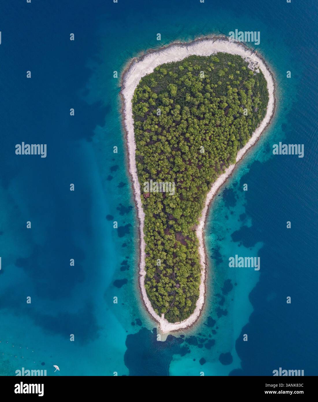 Vista aerea dell'isola isolata di Otok Murtar, Croazia. Foto Stock