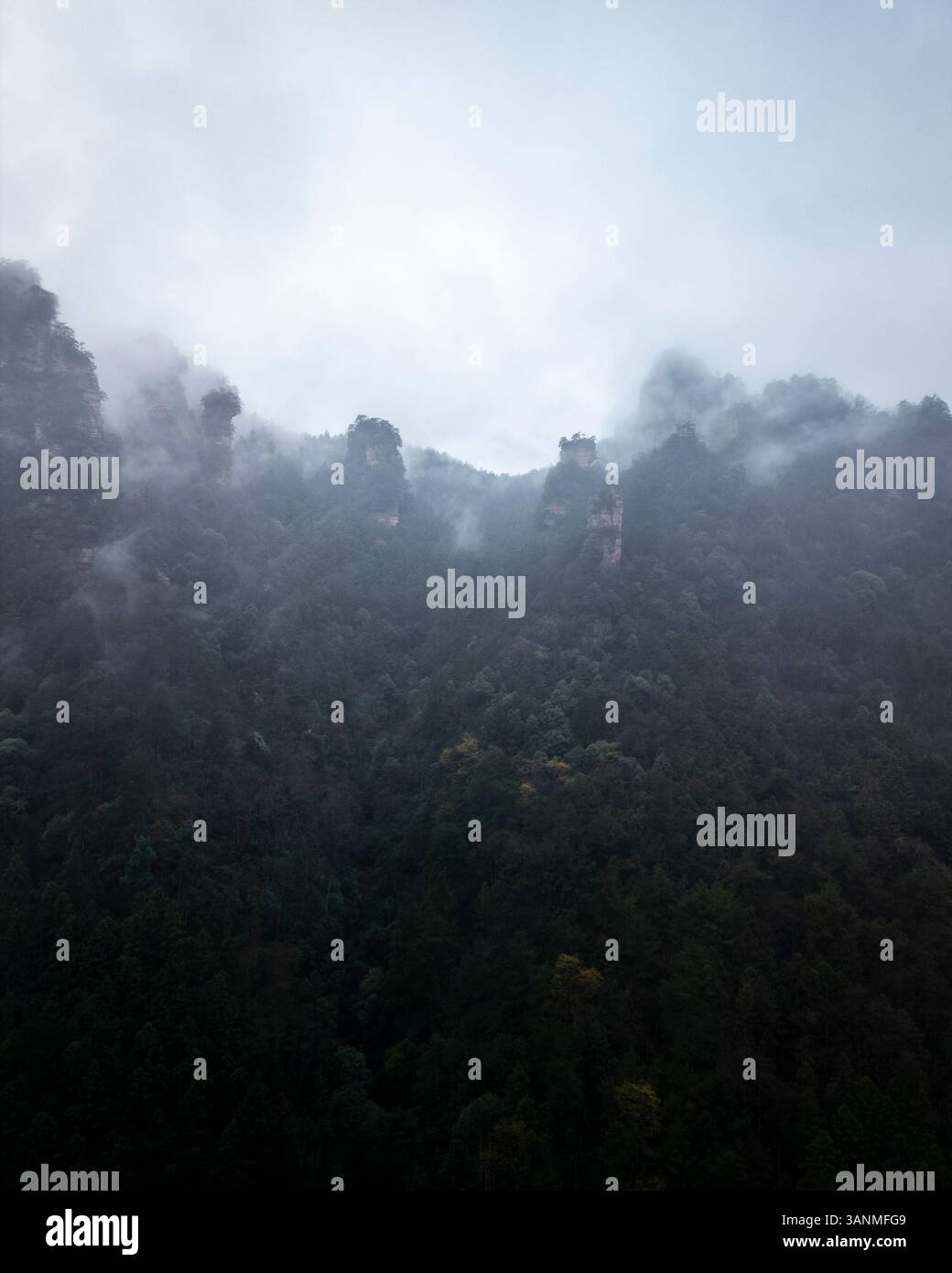 Vista aerea delle maestose formazioni rocciose circondate da una fitta foresta lussureggiante e nebbia, Zhangjiajie, Cina. Foto Stock