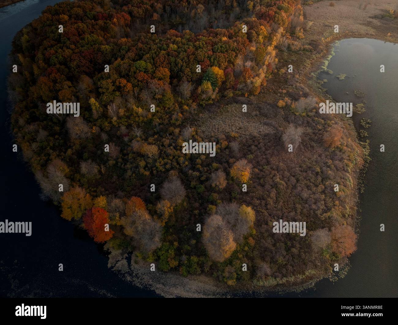 Vista aerea del colorato fogliame autunnale che circonda un tranquillo lago e una fitta foresta, Newton, Massachusetts, Stati Uniti. Foto Stock