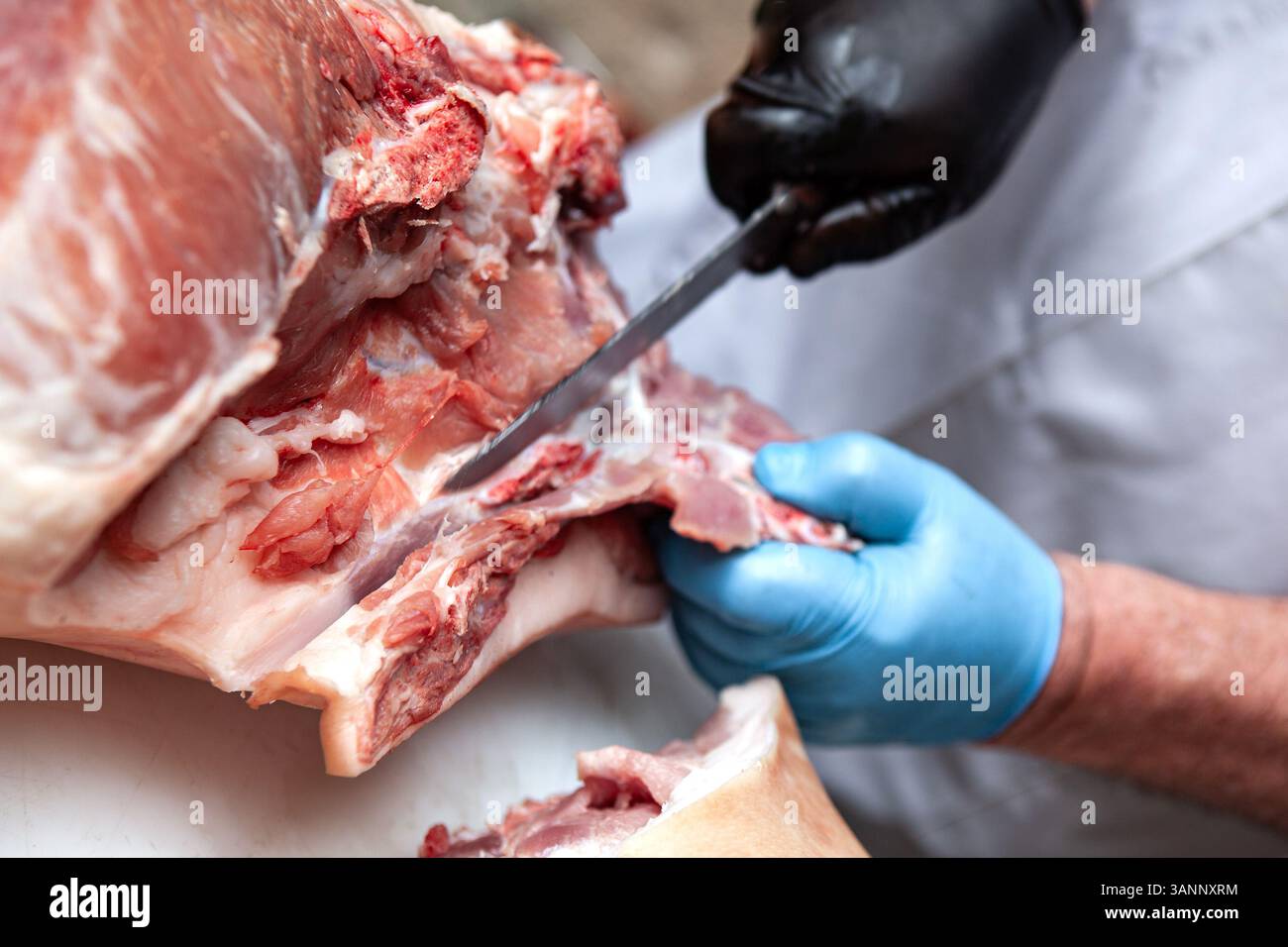 Macellaio che taglia un maiale su una stalla Foto Stock