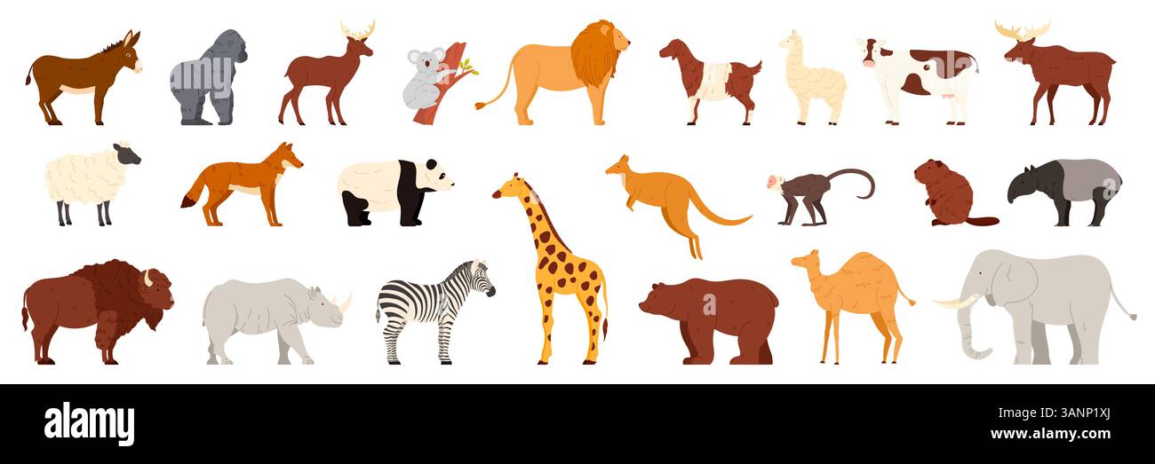 Animali selvatici e da fattoria. Diversi zoo e animali domestici nella vista laterale della natura, collezione di mammiferi selvatici, fauna dell'Asia e dell'Africa, America ed Europa, illustrazione vettoriale dei cartoni animati australiani Illustrazione Vettoriale
