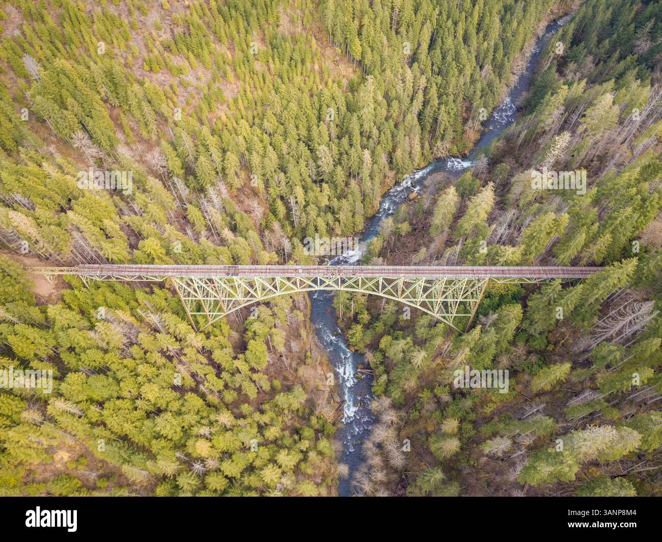 Vista aerea del Vance Creek Bridge a Shelton, Washington, USA. Foto Stock