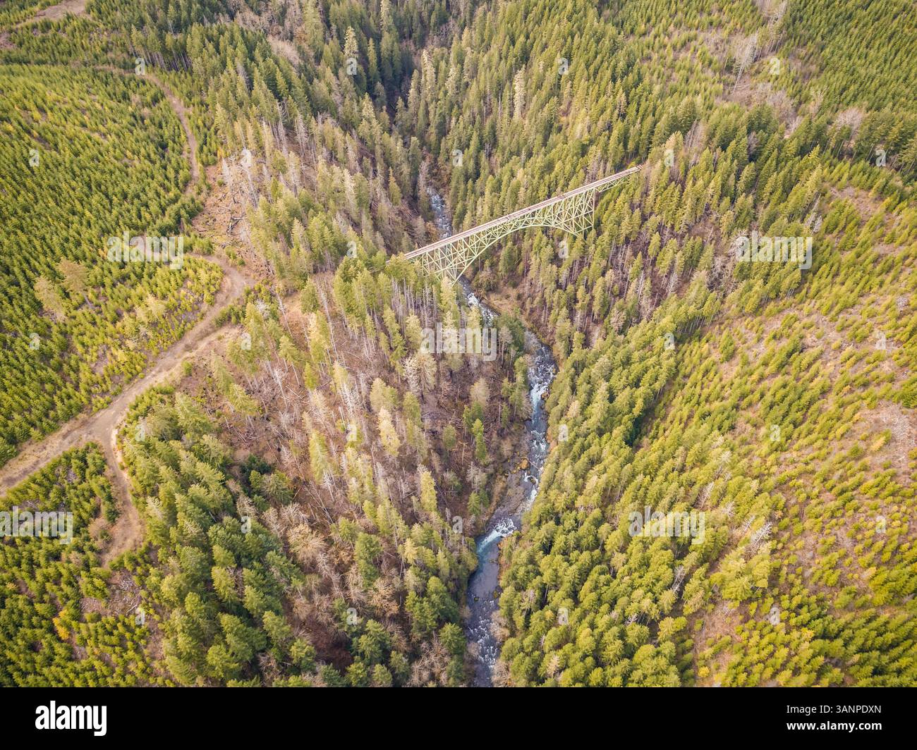 Vista aerea del Vance Creek Bridge a Shelton, Washington, USA. Foto Stock