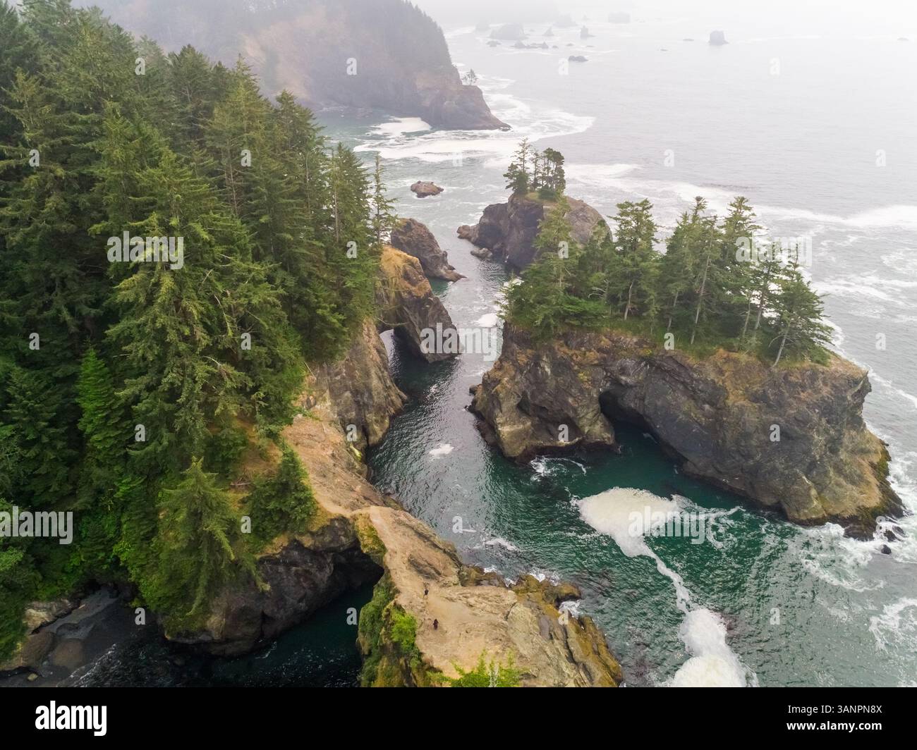 Vista aerea della formazione rocciosa costiera con una fitta foresta di pini, U.S.A. Foto Stock