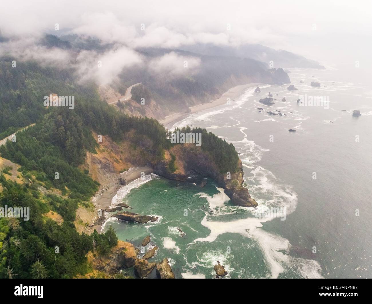 Vista aerea della formazione rocciosa costiera con una fitta foresta di pini, U.S.A. Foto Stock