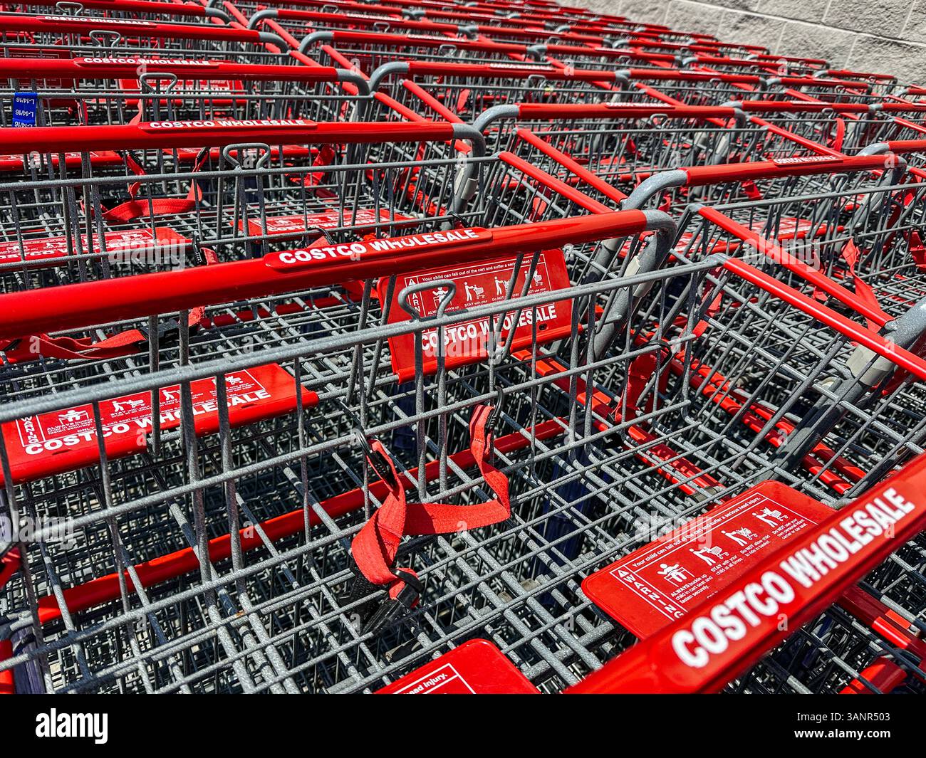 Primo piano sui carrelli della spesa Costco Warehouse - Immagine stock catturata con smartphone