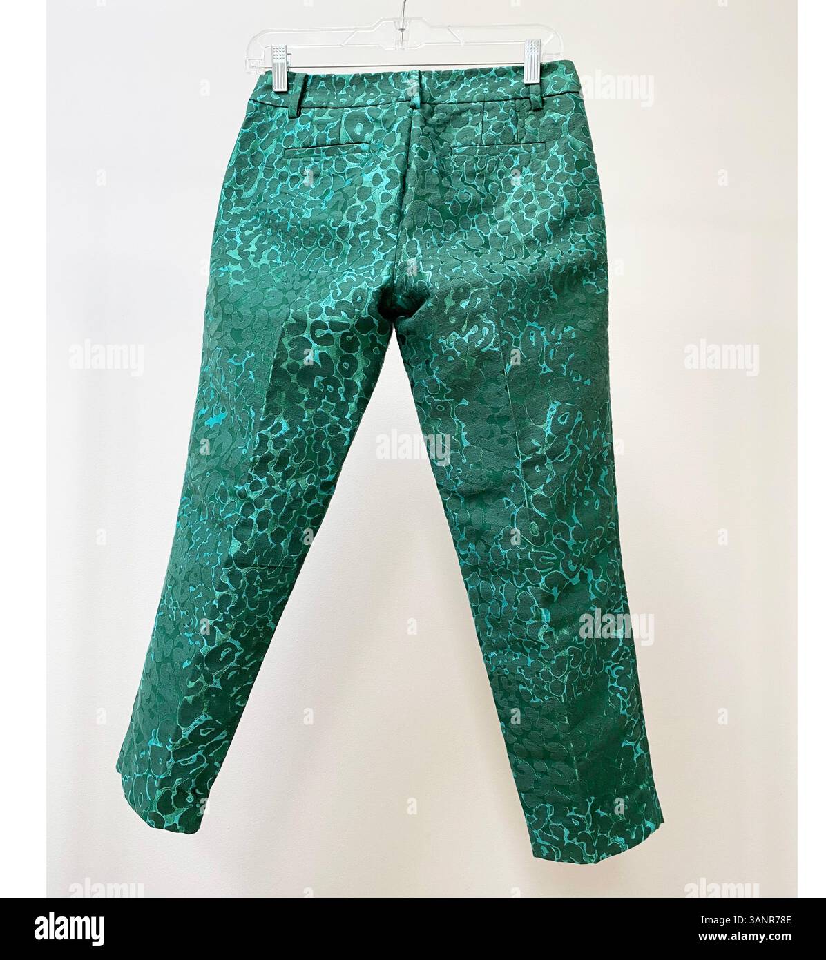 Pantaloni alla moda su sfondo bianco Foto Stock