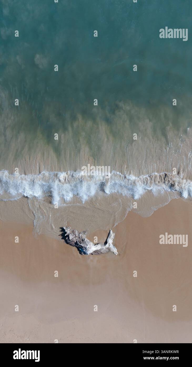 Vista aerea della carcassa della coda di balena sulla spiaggia sabbiosa con onde tranquille e splendida costa, Falcon, Australia Occidentale, Australia. Foto Stock