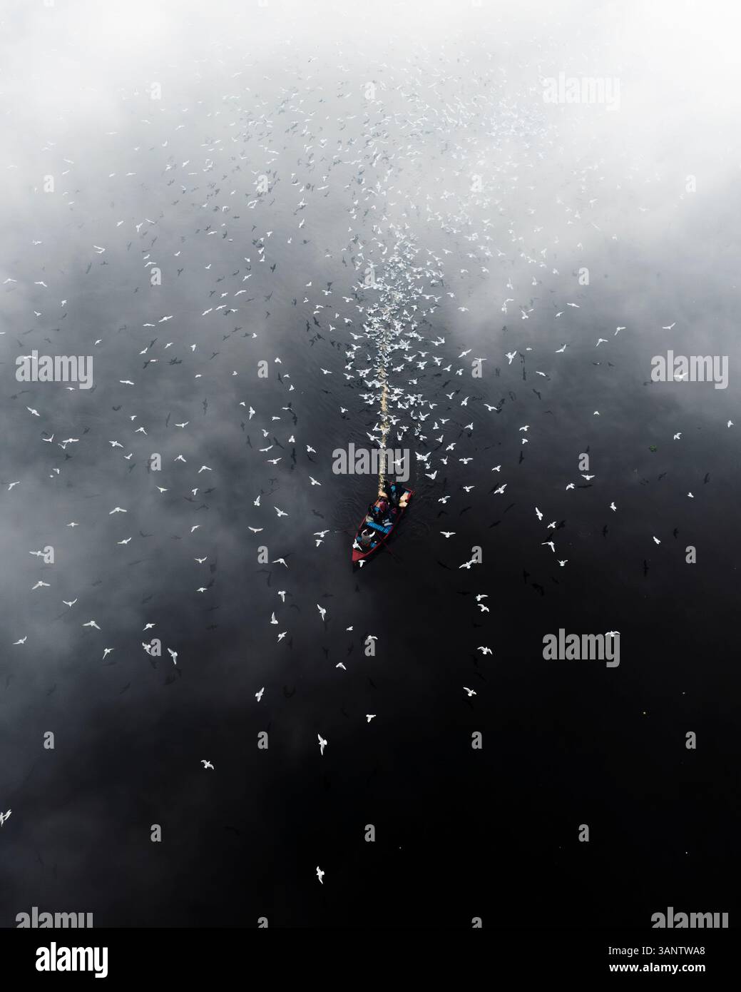 Vista aerea del tranquillo yamuna ghat con barche e uccelli in nebbia sul fiume yamuna, nuova Delhi, India. Foto Stock