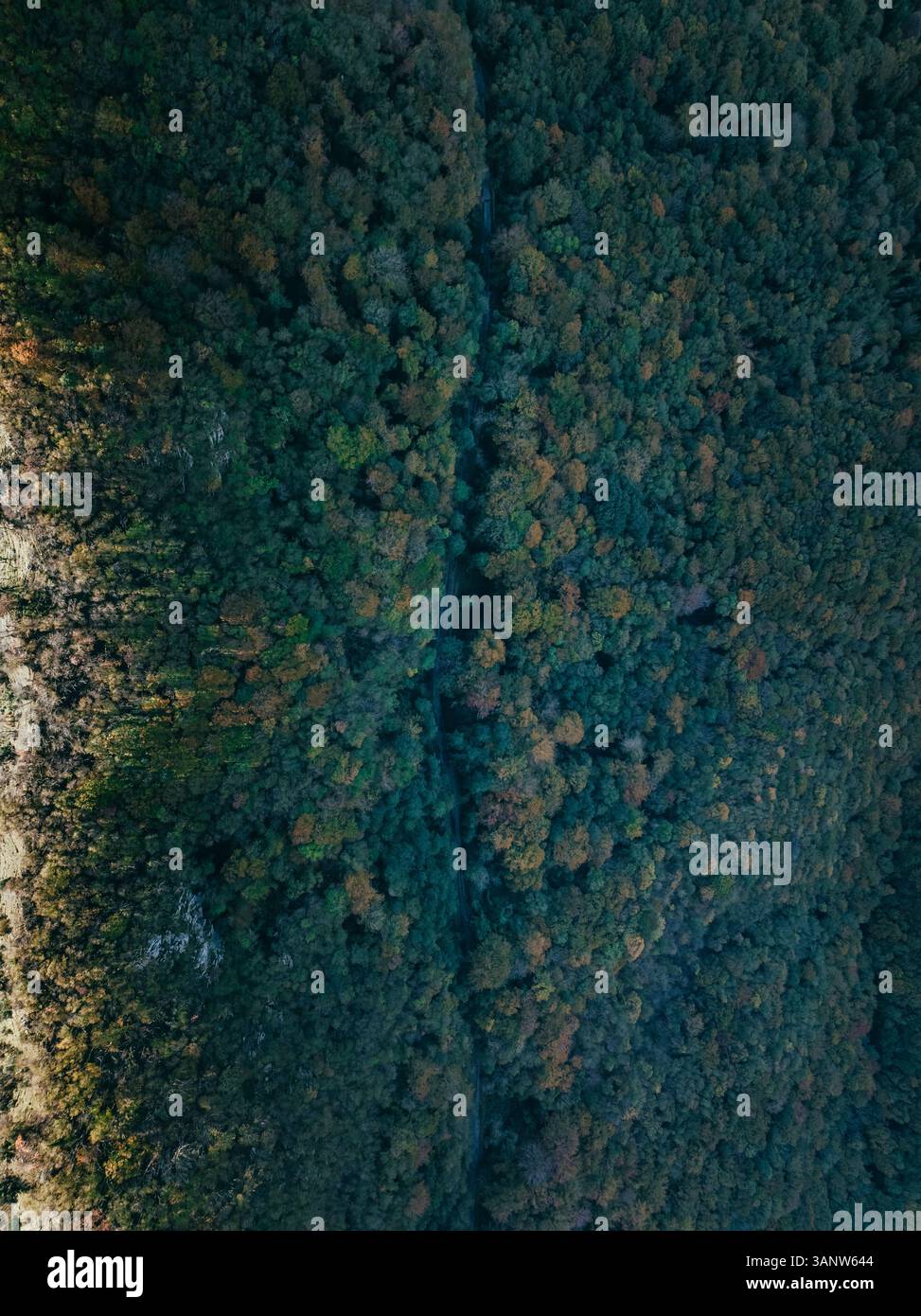 Vista aerea del tranquillo e pittoresco Monte Picentini con fitte foreste e baldacchino, Giffoni Valle piana, Italia. Foto Stock