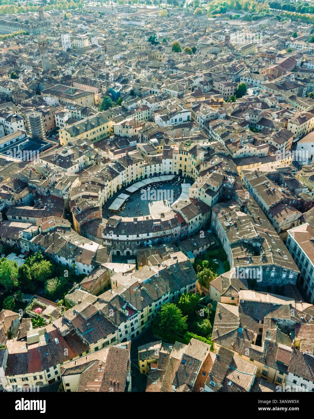 Veduta aerea di Piazza dell'Anfiteatro, piazza medievale con caffè e mercato nel centro storico di Lucca, Toscana, Italia. Foto Stock
