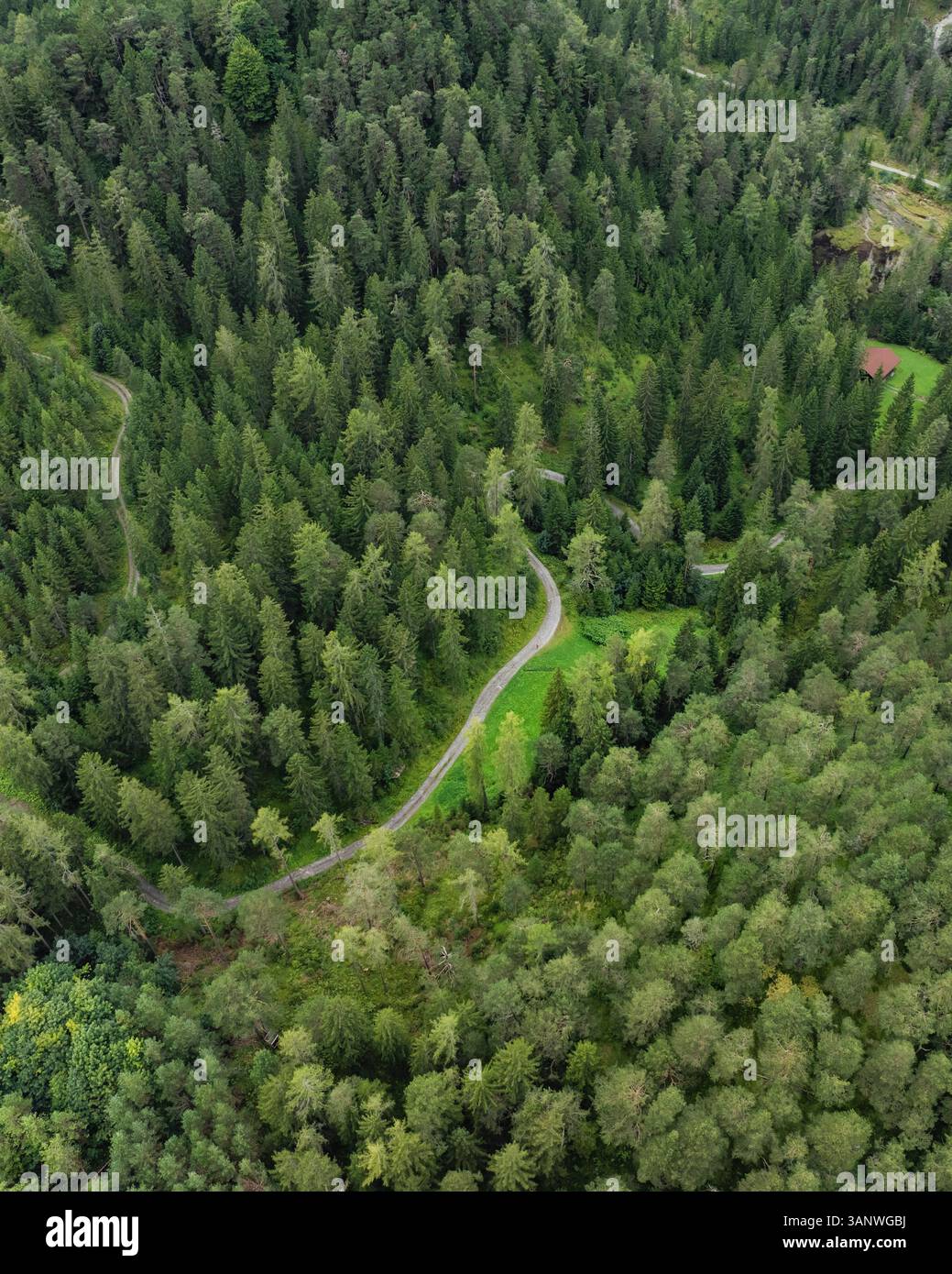 Vista aerea della foresta lussureggiante e densa con una strada tortuosa, Biberwier, Austria. Foto Stock