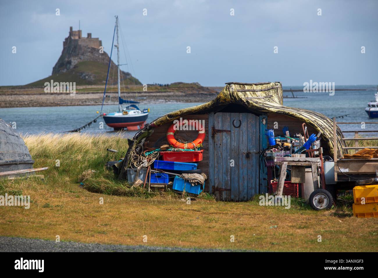 Una vecchia barca da pesca trasformata in un capannone sull'Isola Santa di Lindisfarne della costa nord-orientale, Northumberland, Inghilterra, Regno Unito Foto Stock