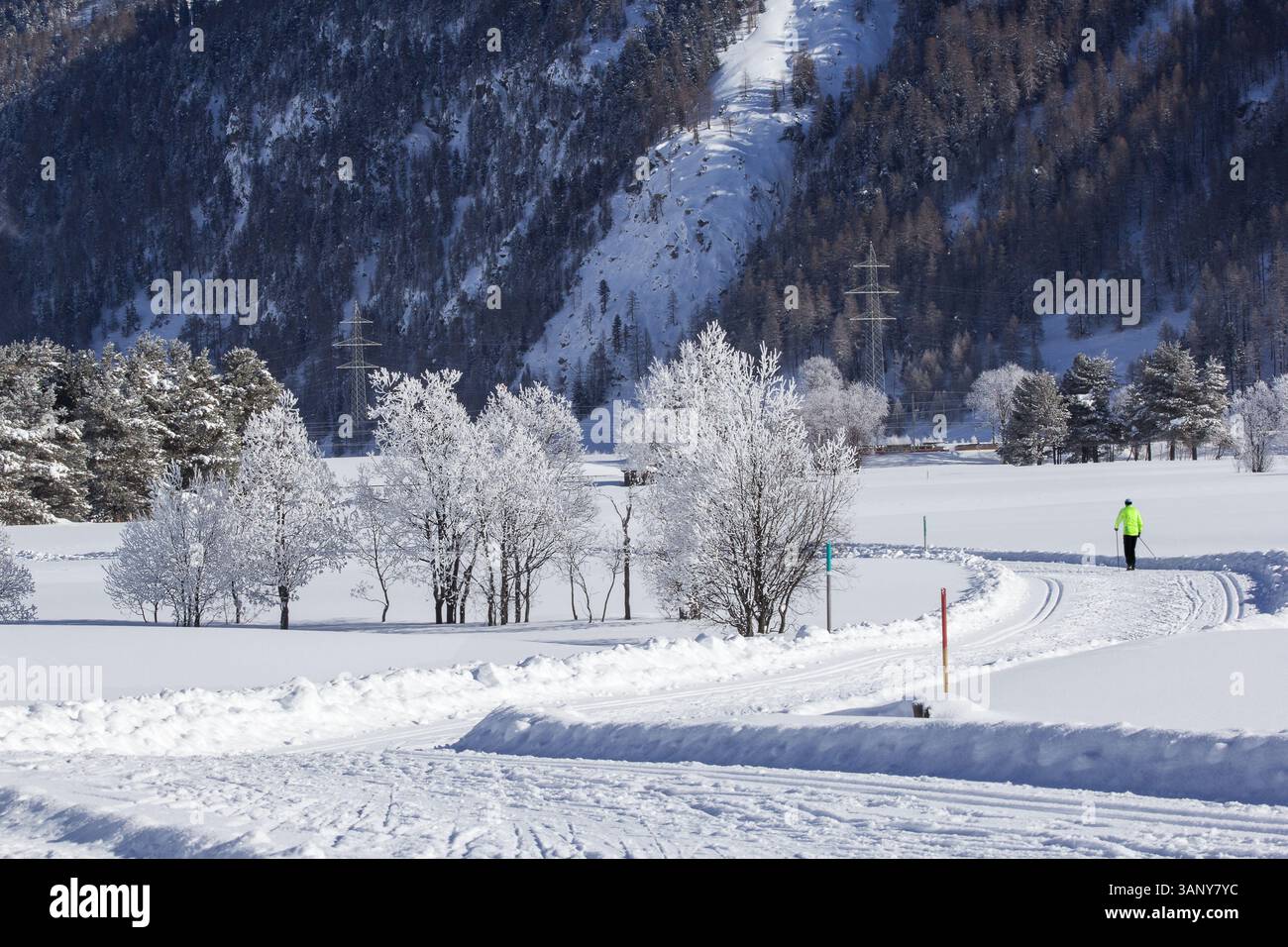 Paesaggio invernale con alberi ghiacciati e piste da sci di fondo nelle montagne delle Alpi Foto Stock
