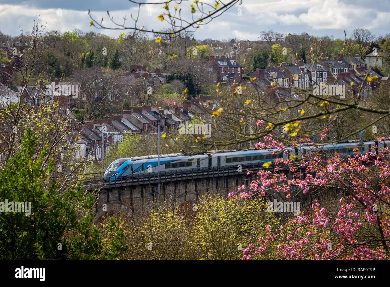 Una classica vista di un treno che attraversa il viadotto per la stazione di Durham, Regno Unito, in primavera, con tetti e fiori Foto Stock