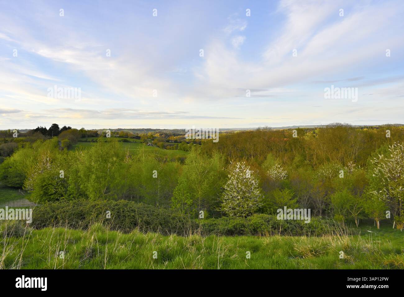 Vista sulla campagna rurale del Somerset, Regno Unito. Vista dal campeggio Dagger Wood Foto Stock