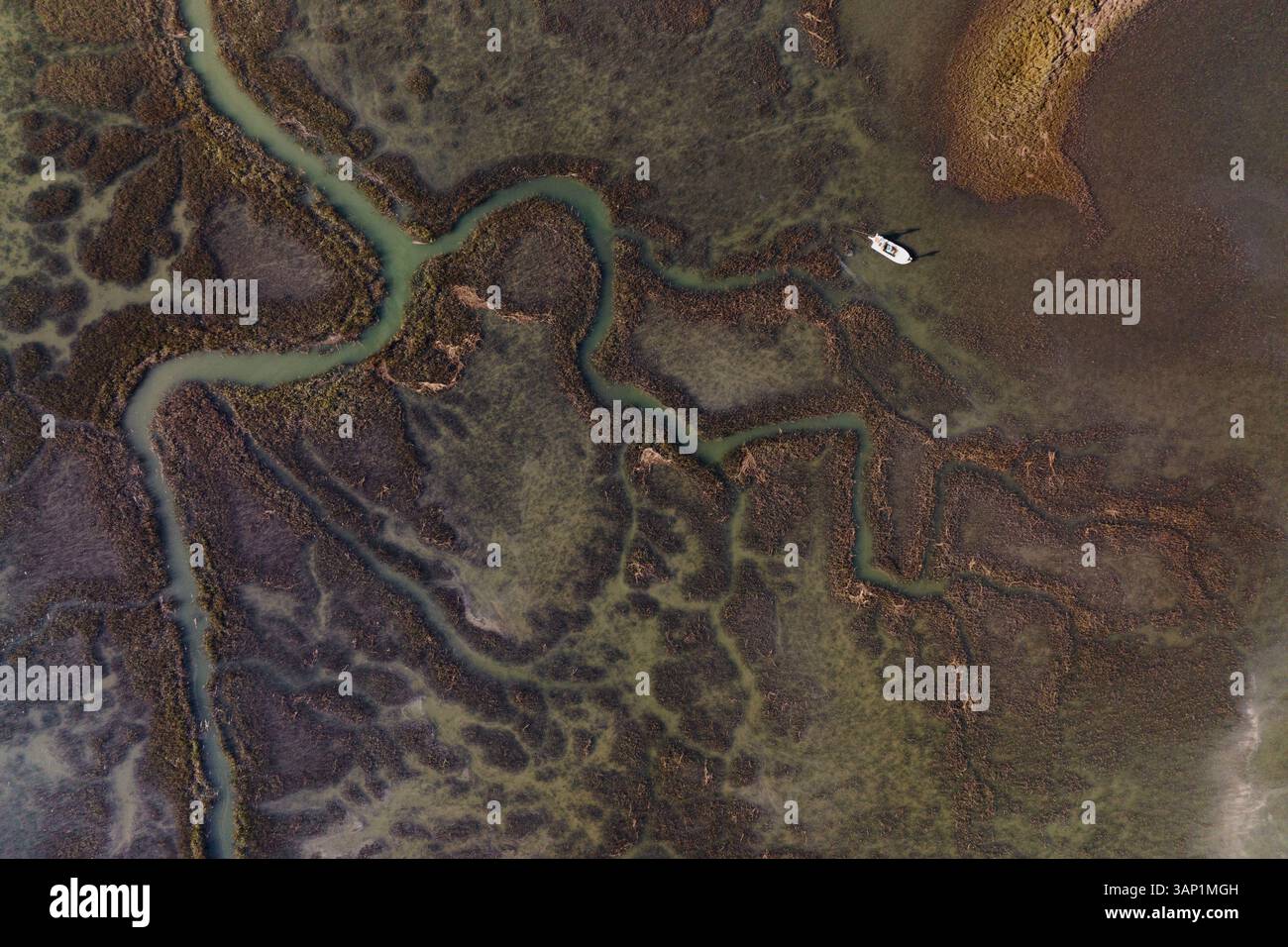 Vista aerea di Baynard Cove Creek dall'alto, Hilton Head Island, South Carolina, Stati Uniti. Foto Stock