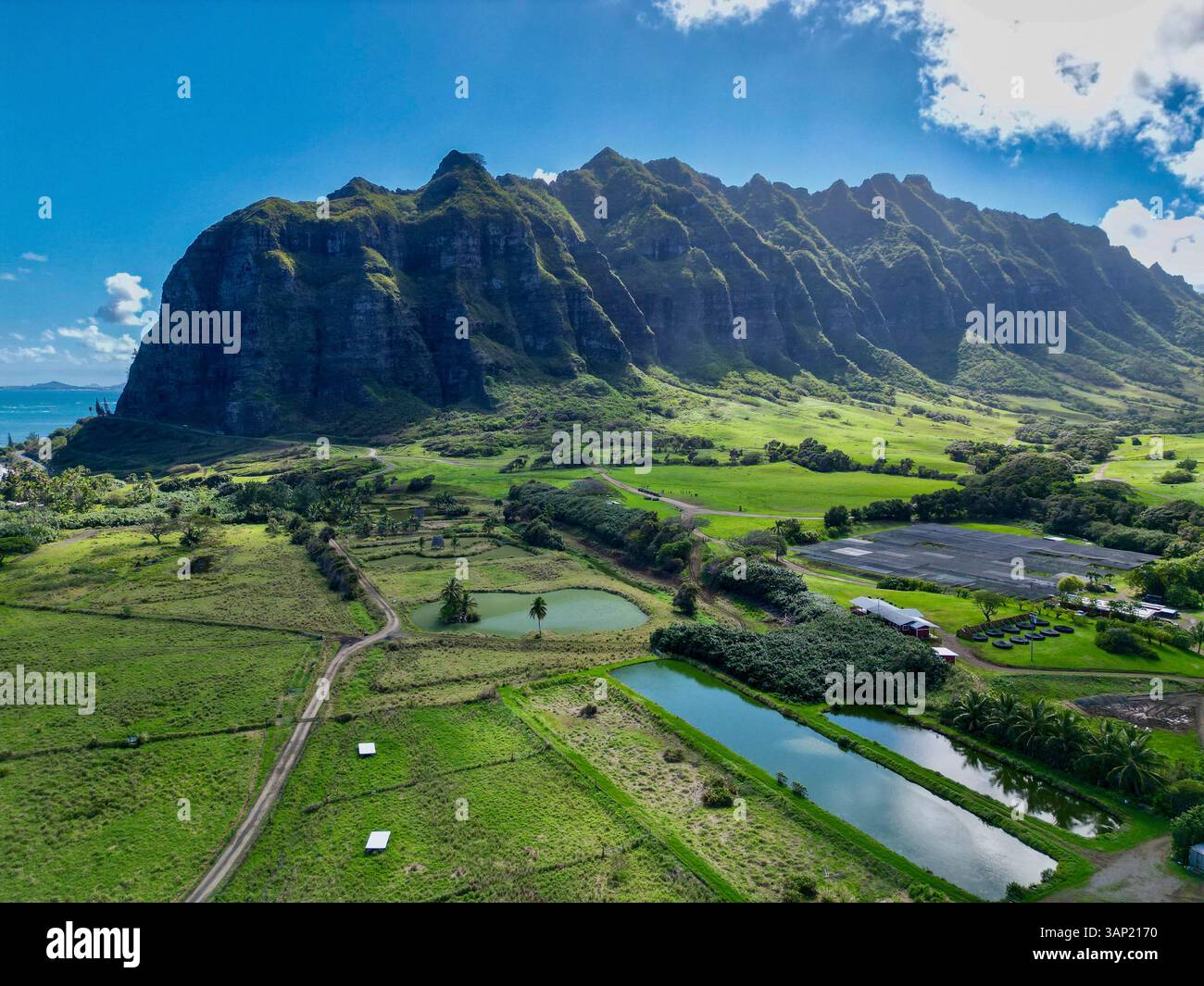 Veduta aerea di Kualoa Ranch, Jurassic Valley, Hawaii, Stati Uniti. Foto Stock