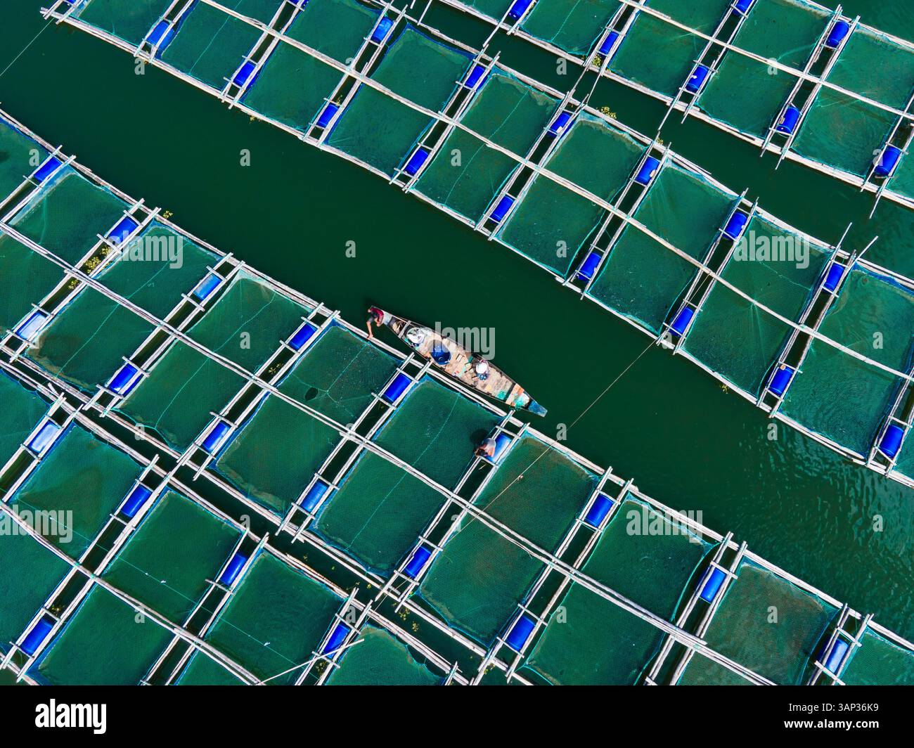 Vista aerea di colorate barche da pesca e reti sul lago Kaptai, circondato da una vegetazione vivace e comunità tribali, Rangamati, Chittagong, Bangladesh. Foto Stock