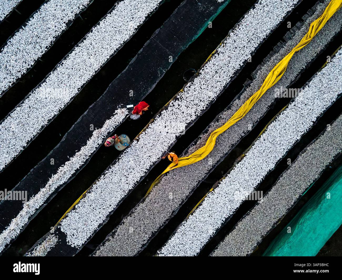 Vista aerea dell'essiccazione della lavorazione del pesce con tecniche e lavoratori tradizionali, Chittagong, Bangladesh. Foto Stock