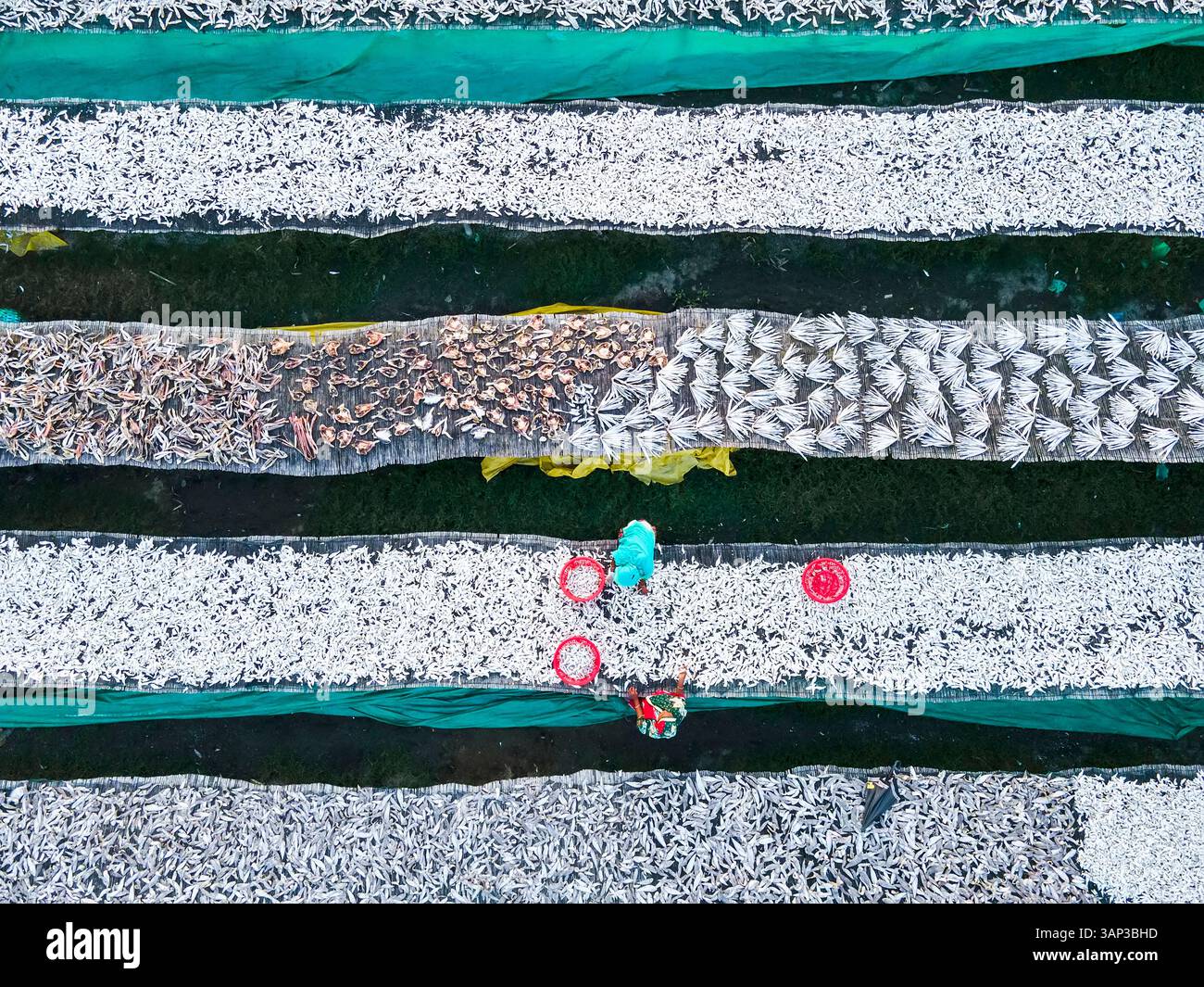 Vista aerea della tradizionale lavorazione del pesce con scaffali e lavoratori, Chittagong, Bangladesh. Foto Stock
