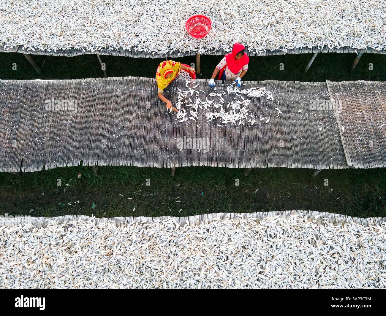 Vista aerea della tradizionale lavorazione del pesce con scaffali e lavoratori, Chittagong, Bangladesh. Foto Stock