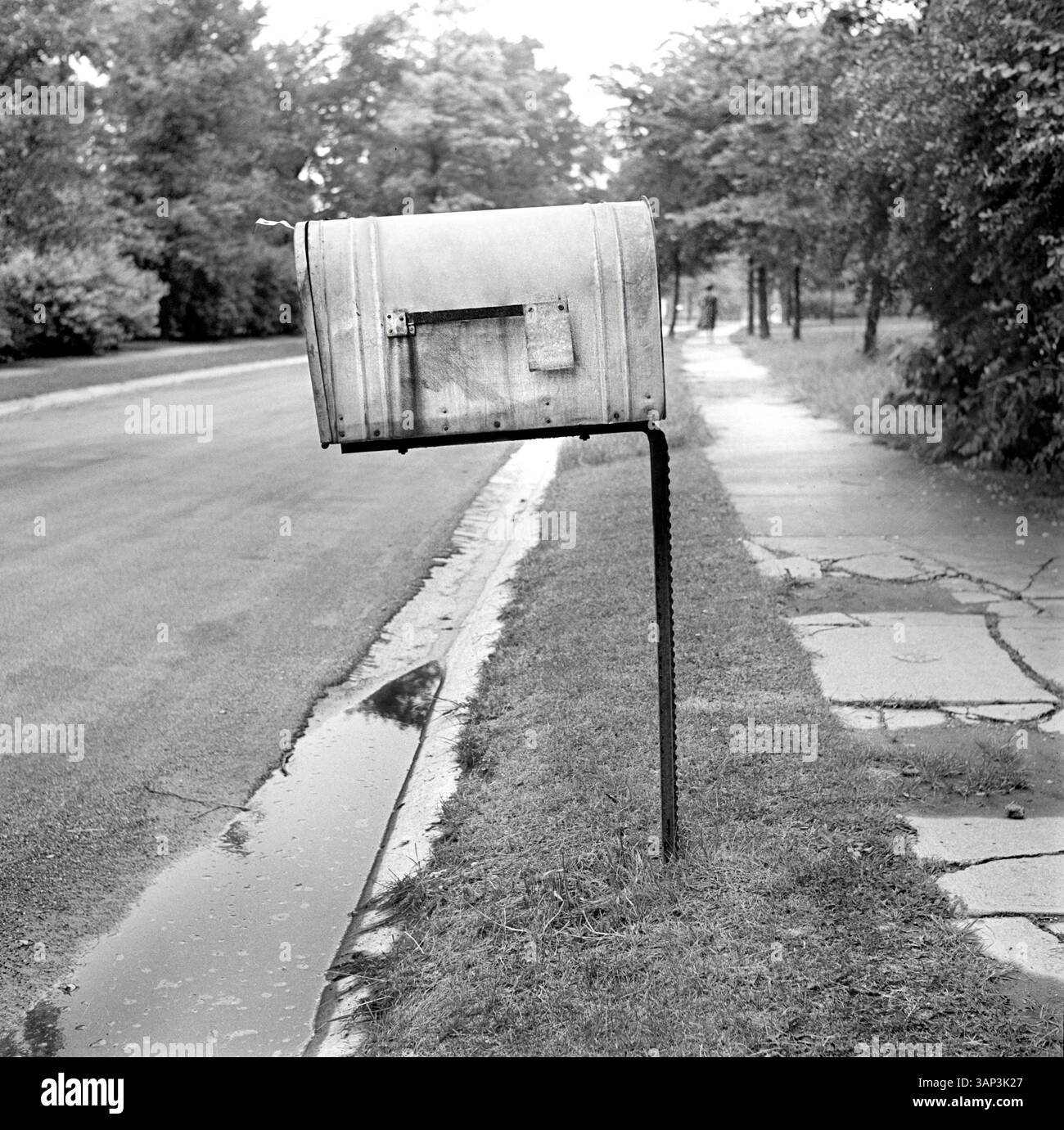 Cassetta postale residenziale lungo la strada, Detroit, Michigan, Stati Uniti, Arthur S. Siegel, U.S. Office of War Information, luglio 1942 Foto Stock