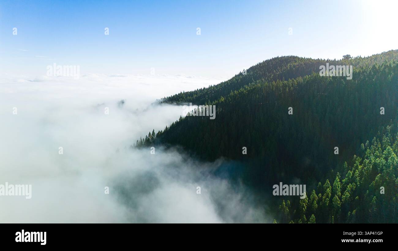 Veduta aerea delle verdi montagne nelle nuvole mattutine, del Parque Nacional del Teide, dell'isola di Tenerife, Spagna Foto Stock