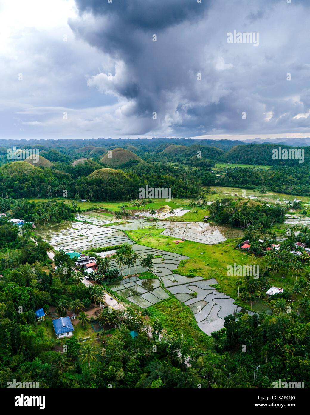 Vista aerea con drone delle Chocolate Hills sull'isola di Bohol, Filippine Foto Stock