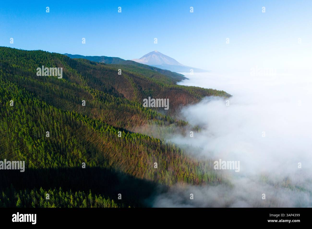 Vista aerea del Teide in Parque Nacional del Teide, la vetta più alta della Spagna, isola di Tenerife Foto Stock