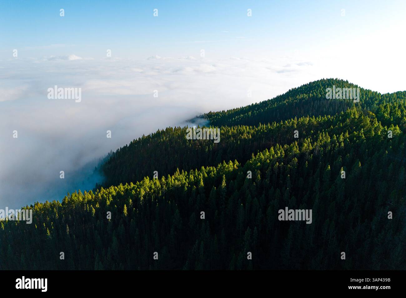Veduta aerea delle verdi montagne nelle nuvole mattutine, del Parque Nacional del Teide, dell'isola di Tenerife, Spagna Foto Stock