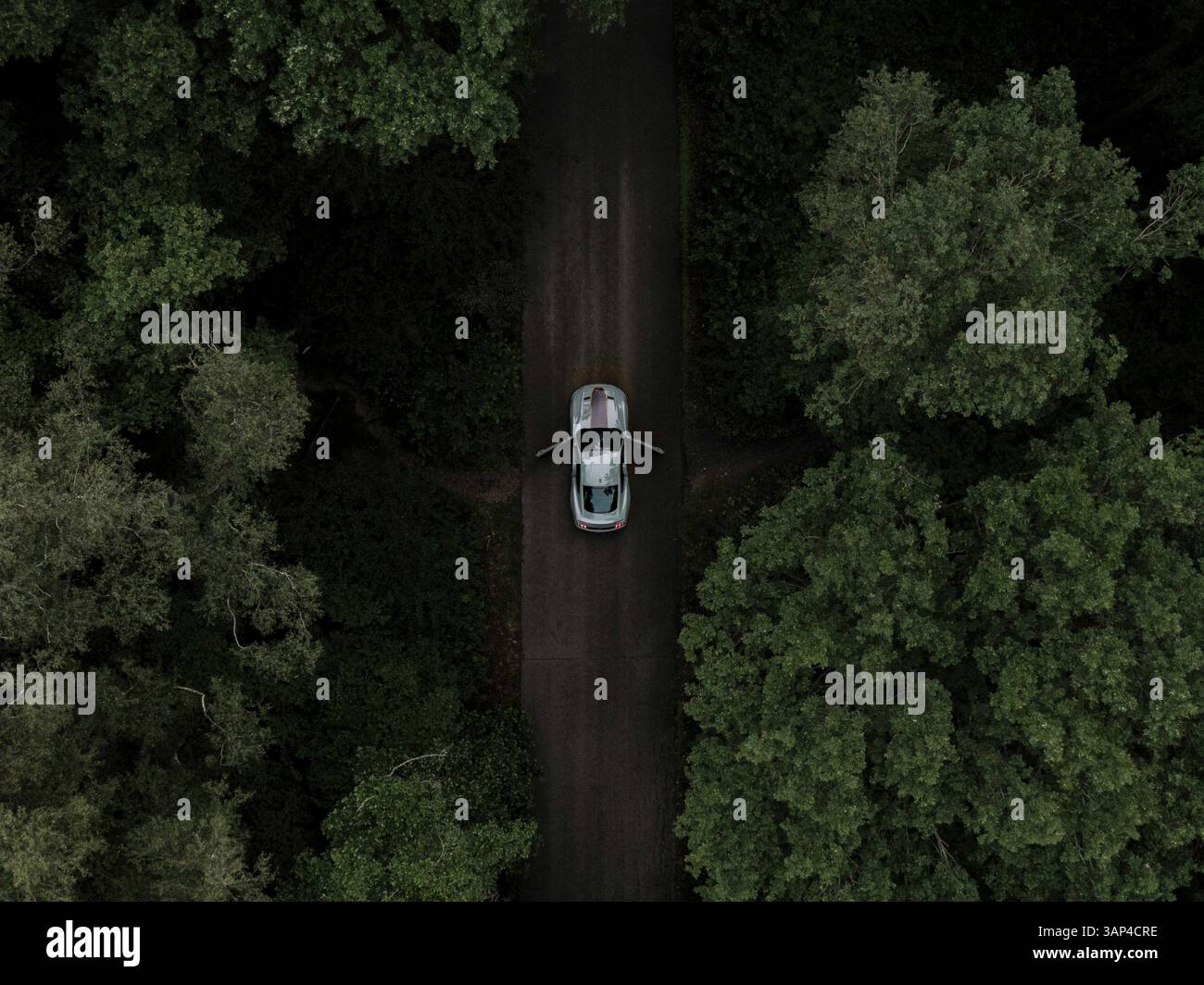 Vista aerea di una Ford Mustang Mach 1 grigia in una foresta nel Limburgo, Paesi Bassi. Foto Stock