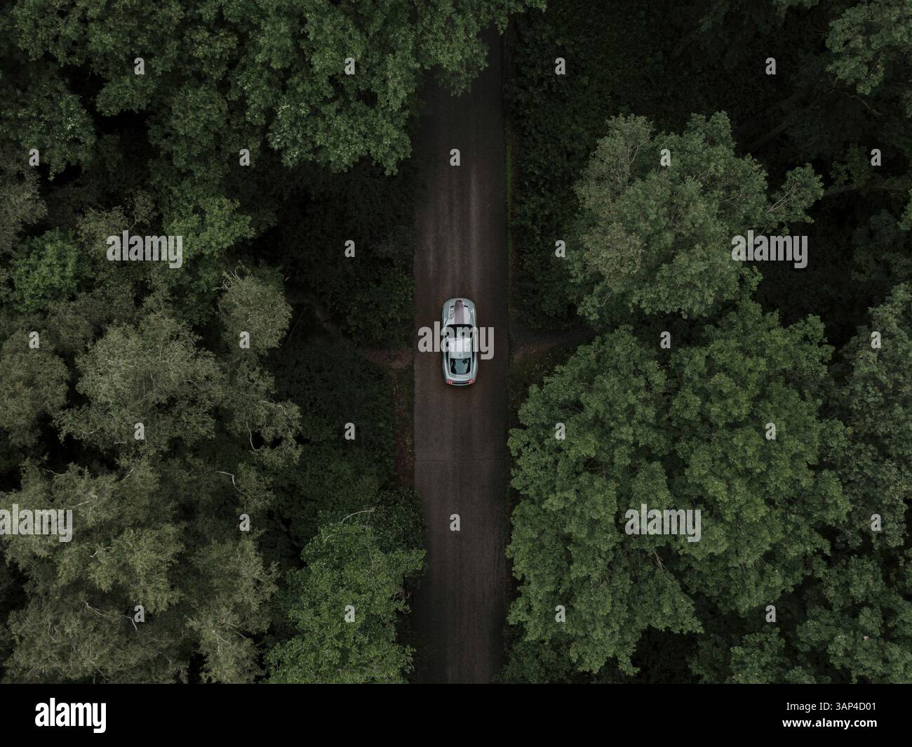 Vista aerea di una Ford Mustang Mach 1 grigia in una foresta nel Limburgo, Paesi Bassi. Foto Stock