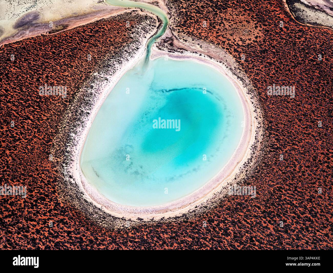 Veduta aerea del lago d'acqua turchese di Shark Bay, area patrimonio dell'umanità, Australia Occidentale, Australia. Foto Stock