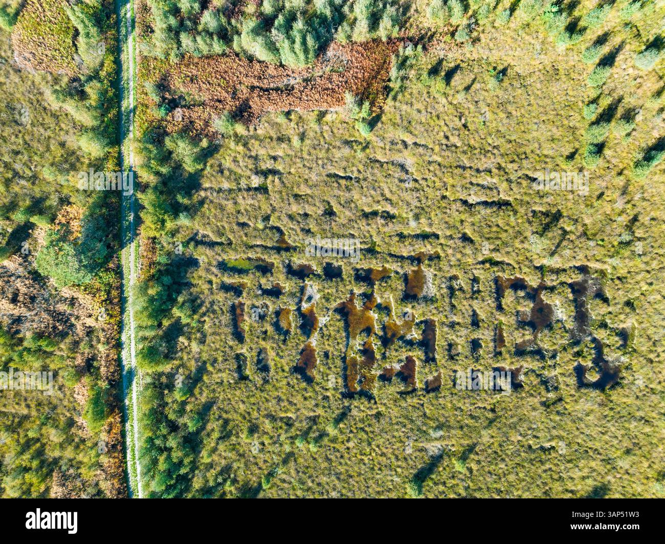 Vista dall'alto astratta dei pozzi di torba e del sentiero a piedi nella zona delle torbiere, il parco nazionale De Groote Peel, Limburgo, Paesi Bassi. Foto Stock
