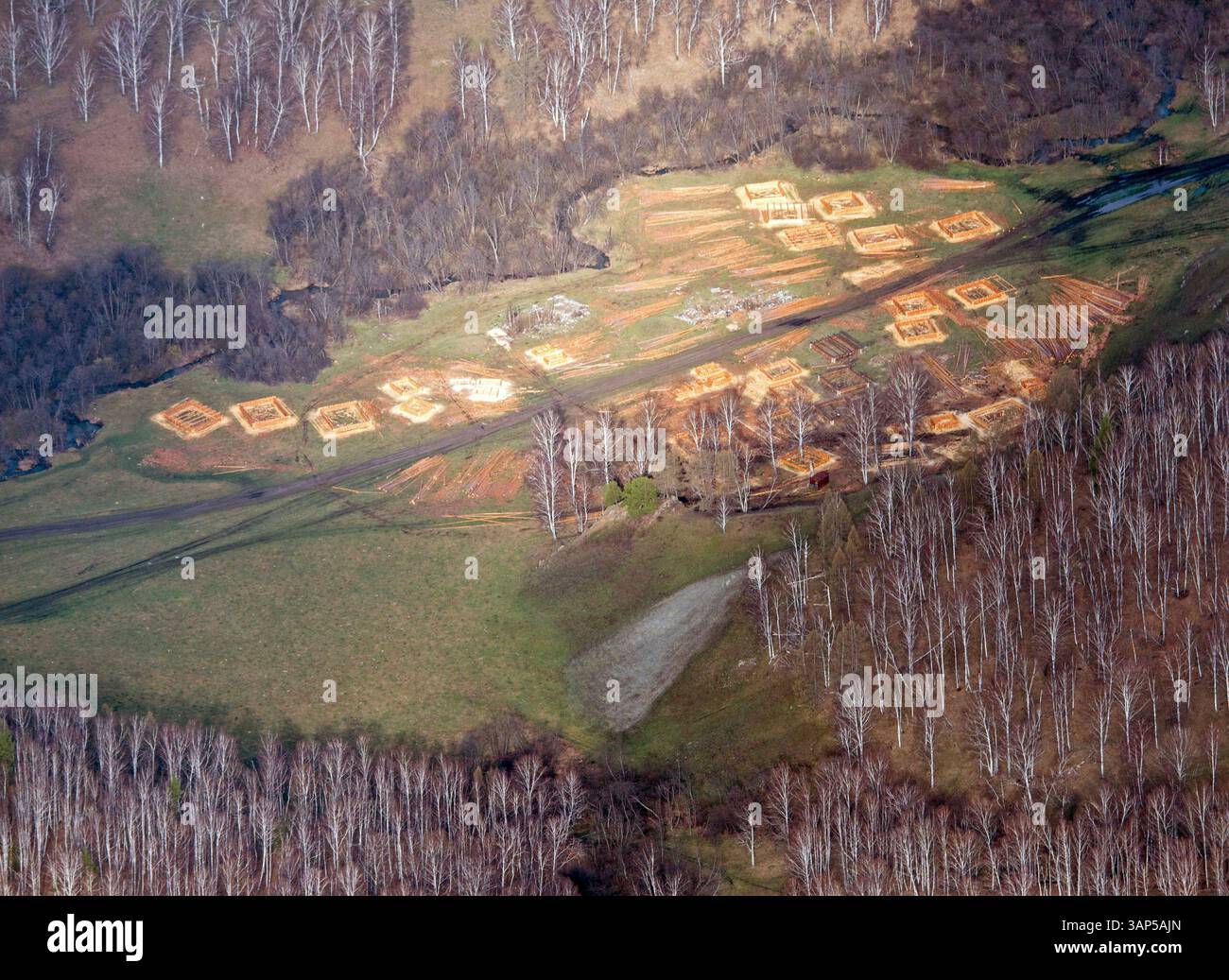 Vista aerea di splendidi alberi di betulla e campi in un paesaggio rurale, la Repubblica del Bashkortostan, Russia. Foto Stock